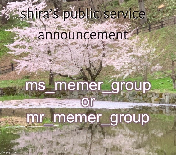or mrs_memer_group ig | ms_memer_group or mr_memer_group | image tagged in shira s psa | made w/ Imgflip meme maker