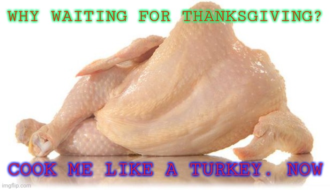 sexy chicken | WHY WAITING FOR THANKSGIVING? COOK ME LIKE A TURKEY. NOW | image tagged in sexy chicken | made w/ Imgflip meme maker