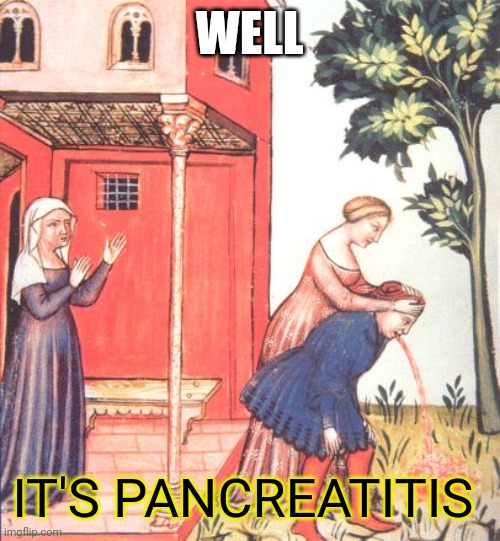 Throwing up meme | WELL; IT'S PANCREATITIS | image tagged in throwing up meme | made w/ Imgflip meme maker