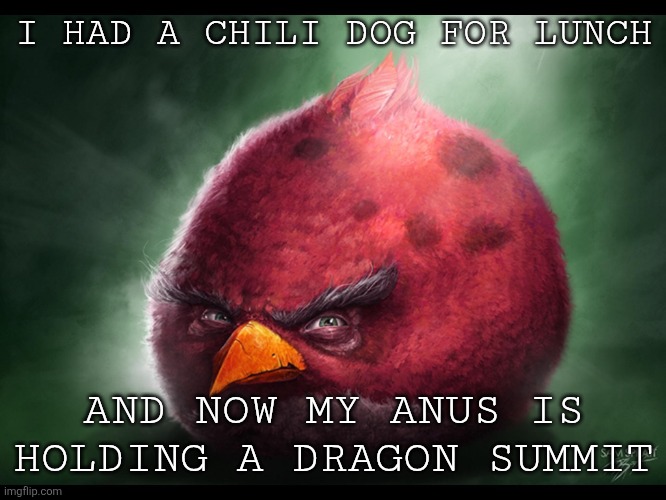 Realistic Angry Bird (big red) | I HAD A CHILI DOG FOR LUNCH; AND NOW MY ANUS IS HOLDING A DRAGON SUMMIT | image tagged in realistic angry bird big red | made w/ Imgflip meme maker
