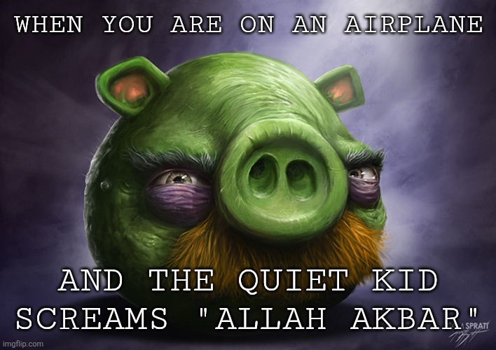 Realistic angry birds | WHEN YOU ARE ON AN AIRPLANE; AND THE QUIET KID SCREAMS "ALLAH AKBAR" | image tagged in realistic angry birds | made w/ Imgflip meme maker