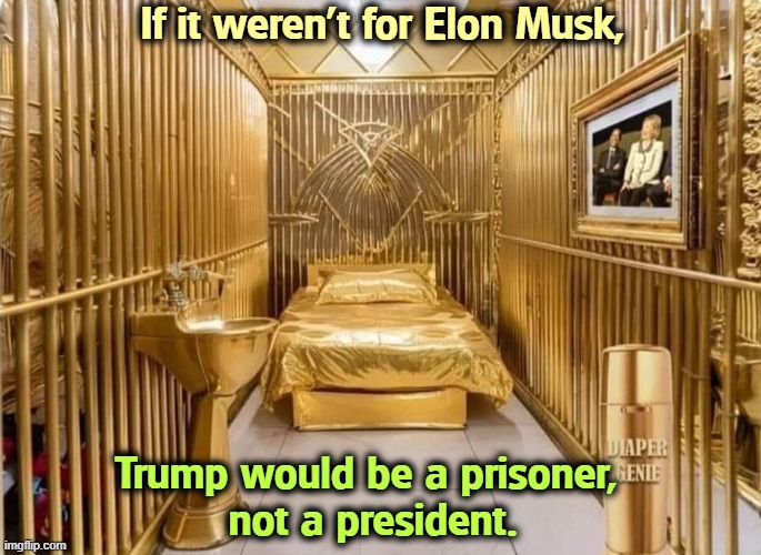 The Trump Room at Alligator Vegas for our Convicted Felon-in-Chief. Lucky for him Musk hacked Pennsylvania. | If it weren't for Elon Musk, Trump would be a prisoner, 
not a president. | image tagged in the trump room at the federal pen for our convicted felon,trump,convicted felon,criminal,jail,gold | made w/ Imgflip meme maker