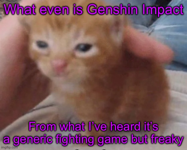 Herbert | What even is Genshin Impact; From what I’ve heard it’s a generic fighting game but freaky | image tagged in herbert | made w/ Imgflip meme maker