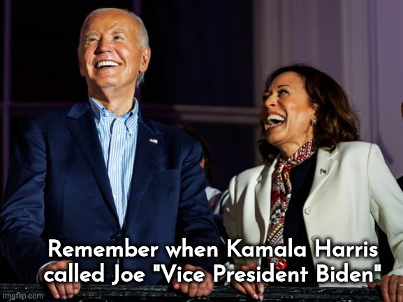 A Clue we missed , maybe ? | Remember when Kamala Harris called Joe "Vice President Biden" | image tagged in joe biden,worst ever,kamala harris,how dumb do you have to be,epic fail,presidency | made w/ Imgflip meme maker