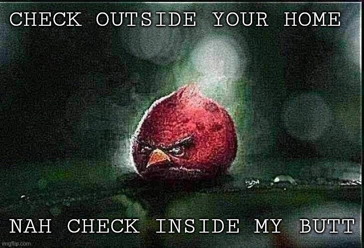 Dolphin man vs Jim schoolenburg reference | CHECK OUTSIDE YOUR HOME; NAH CHECK INSIDE MY BUTT | image tagged in realistic angry birds | made w/ Imgflip meme maker