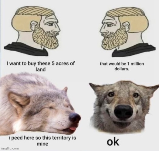 Insert clever title | image tagged in chad,wolf | made w/ Imgflip meme maker