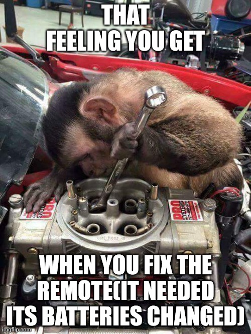 idk | THAT FEELING YOU GET; WHEN YOU FIX THE REMOTE(IT NEEDED ITS BATTERIES CHANGED) | image tagged in monkey mechanic | made w/ Imgflip meme maker