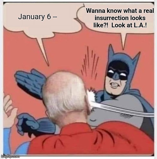 Batman biden slap | Wanna know what a real
insurrection looks
like?!  Look at L.A.! January 6 -- | image tagged in batman biden slap,memes,insurrection,democrats,trump derangement syndrome,illegal immigrants | made w/ Imgflip meme maker