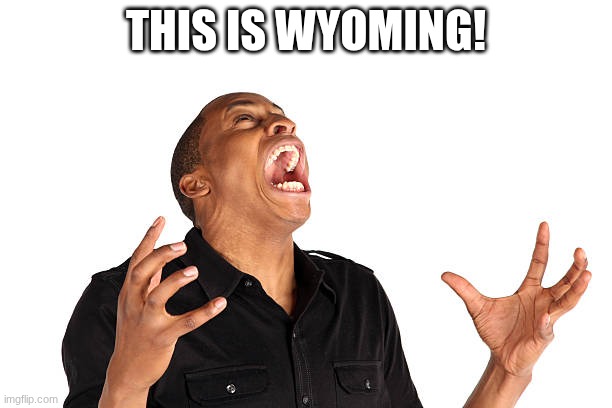 This is Wyoming! | THIS IS WYOMING! | image tagged in this is wyoming,wyoming,memes,funny memes | made w/ Imgflip meme maker