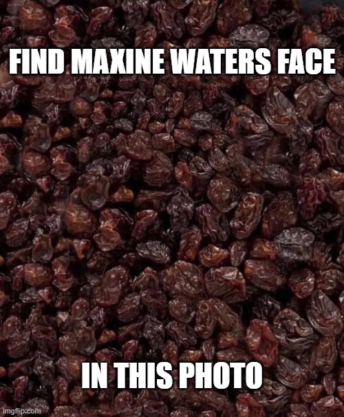 Maxine Waters | FIND MAXINE WATERS FACE; IN THIS PHOTO | made w/ Imgflip meme maker