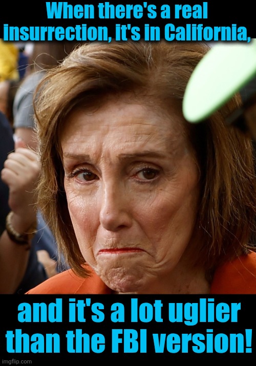 When there's a real insurrection, it's in California, and it's a lot uglier than the FBI version! | image tagged in memes,nancy pelosi,insurrection,democrats,illegal immigrants,california | made w/ Imgflip meme maker