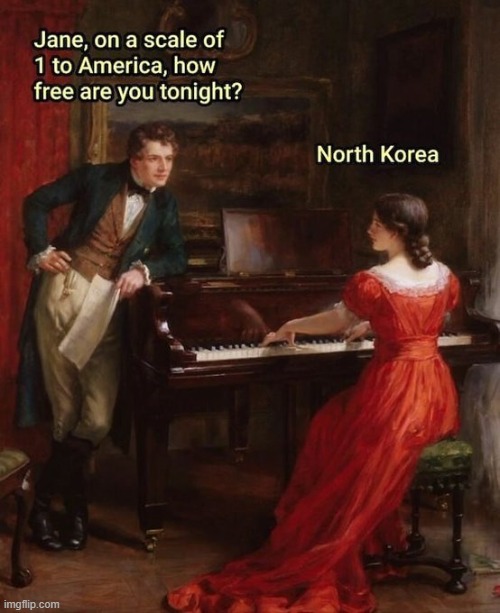 I think she's kinda tied up this evening | image tagged in america,north korea,night and day,free,free will,poitical humor | made w/ Imgflip meme maker