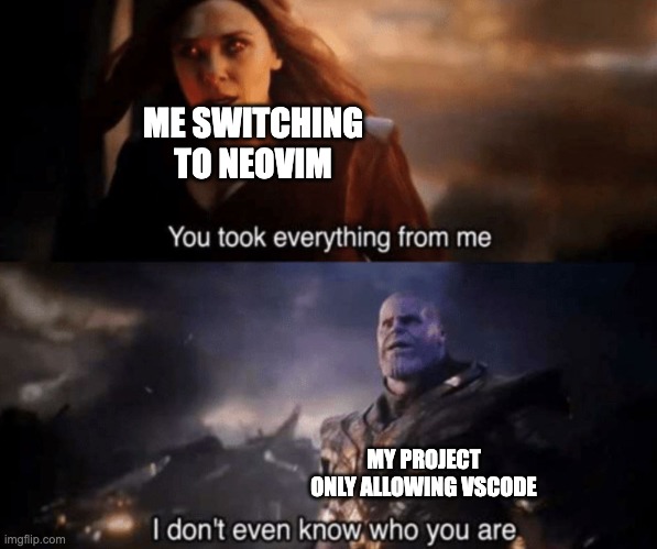 Scarlet Witch Meme: Me switching to neovim. You took everything from me. My project only allowing VSCode. I don't even know who you are.