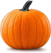 High Quality pumpkin Blank Meme Template