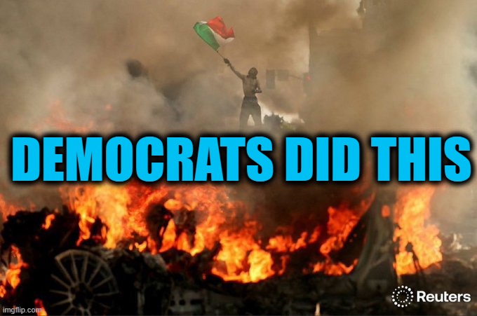 DEMOCRATS DID THIS | image tagged in california,riots,illegals,newsom,democrats | made w/ Imgflip meme maker