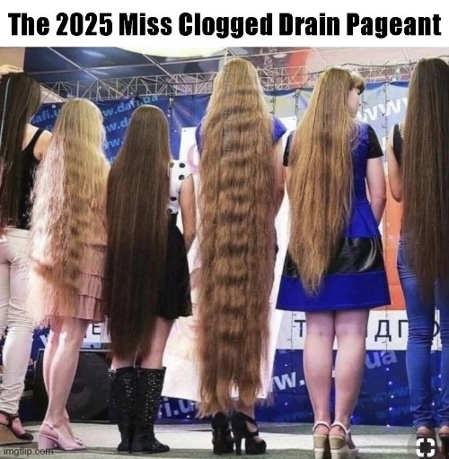 image tagged in hair | made w/ Imgflip meme maker
