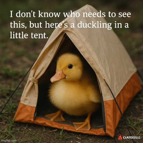 An intense portrait | image tagged in duck,duckling | made w/ Imgflip meme maker
