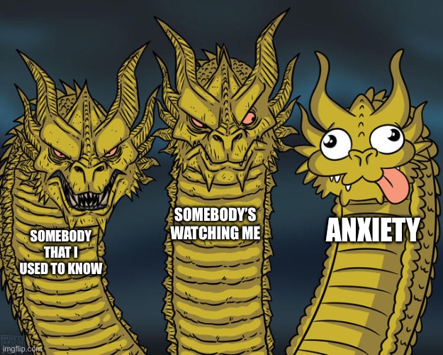 Can we all agree somebody that I used to know was peak | SOMEBODY’S WATCHING ME; ANXIETY; SOMEBODY THAT I USED TO KNOW | image tagged in three-headed dragon | made w/ Imgflip meme maker