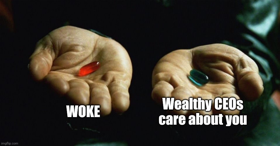 You let them take "redpill". Like even tho they call u libs SUMHOW u didn't hit them w CONS | WOKE; Wealthy CEOs care about you | image tagged in red pill blue pill | made w/ Imgflip meme maker