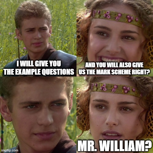 Turtle meme 1 | I WILL GIVE YOU THE EXAMPLE QUESTIONS; AND YOU WILL ALSO GIVE US THE MARK SCHEME RIGHT? MR. WILLIAM? | image tagged in anakin padme 4 panel | made w/ Imgflip meme maker