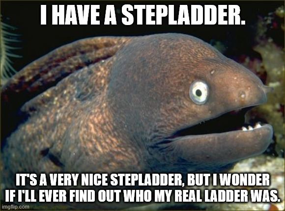 Bad Joke Eel | I HAVE A STEPLADDER. IT'S A VERY NICE STEPLADDER, BUT I WONDER IF I'LL EVER FIND OUT WHO MY REAL LADDER WAS. | image tagged in memes,bad joke eel | made w/ Imgflip meme maker