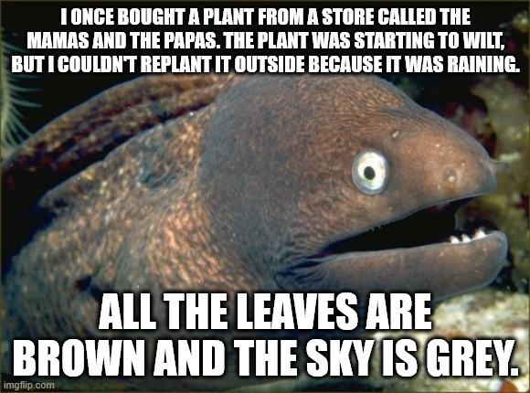 Bad Joke Eel Meme | I ONCE BOUGHT A PLANT FROM A STORE CALLED THE MAMAS AND THE PAPAS. THE PLANT WAS STARTING TO WILT, BUT I COULDN'T REPLANT IT OUTSIDE BECAUSE IT WAS RAINING. ALL THE LEAVES ARE BROWN AND THE SKY IS GREY. | image tagged in memes,bad joke eel | made w/ Imgflip meme maker