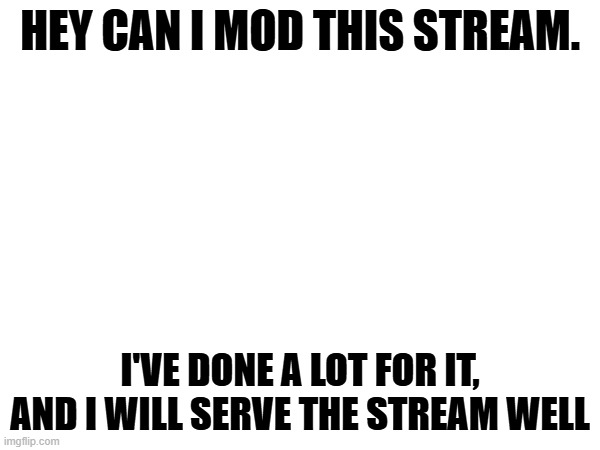 Can I mod? (Mod note: ask the owner) | HEY CAN I MOD THIS STREAM. I'VE DONE A LOT FOR IT, AND I WILL SERVE THE STREAM WELL | image tagged in blank white template | made w/ Imgflip meme maker