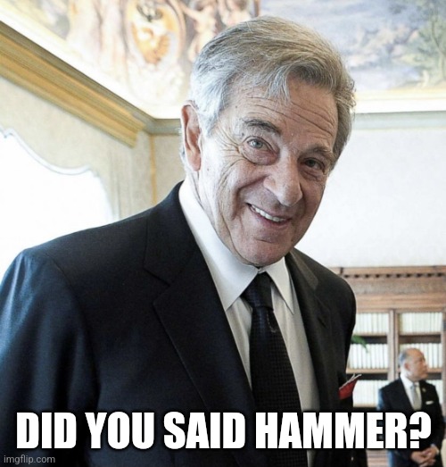Hi I’m Paul Pelosi | DID YOU SAID HAMMER? | image tagged in hi i m paul pelosi | made w/ Imgflip meme maker