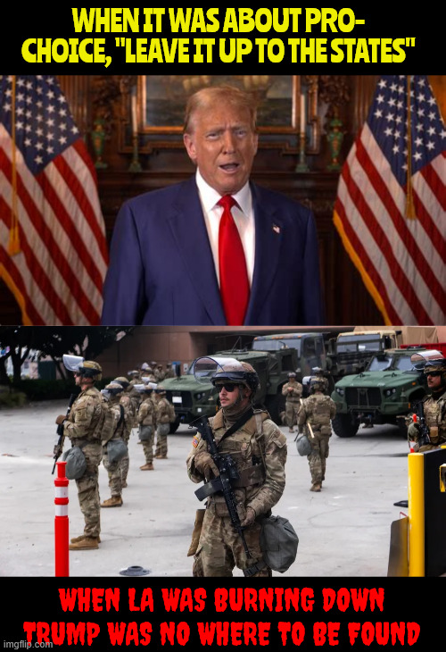 Sure sure leave it up to the states | WHEN IT WAS ABOUT PRO- CHOICE, "LEAVE IT UP TO THE STATES"; WHEN LA WAS BURNING DOWN TRUMP WAS NO WHERE TO BE FOUND | image tagged in sure sure leave it up to the states,hypocrite,anarchist,faning the flames,american un-civil war 2,maga matila | made w/ Imgflip meme maker