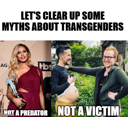 Myths about transgender | LET'S CLEAR UP SOME MYTHS ABOUT TRANSGENDERS; NOT A VICTIM; NOT A PREDATOR | image tagged in blank white template,lgbt,lgbtq,transgenders,transgender,transgender bathroom | made w/ Imgflip meme maker