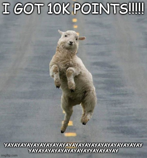 TY!!!!! | I GOT 10K POINTS!!!!! YAYAYAYAYAYAYAYAYAYAYAYAYAYAYAYAYAYAYAYAYAY YAYAYAYAYAYAYAYAYAYYAYAYAYAY | image tagged in happy sheep | made w/ Imgflip meme maker