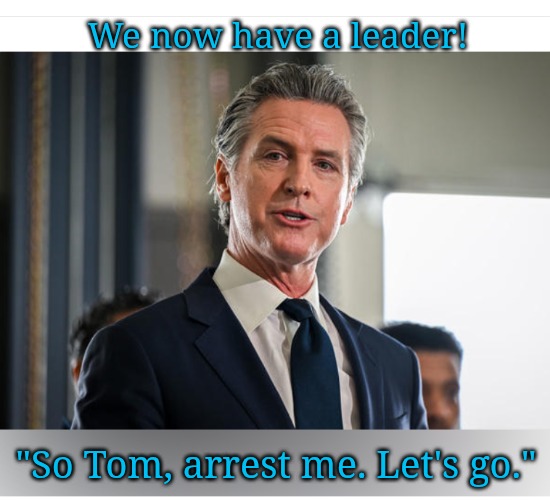 Back in the Game!! Horah! | We now have a leader! "So Tom, arrest me. Let's go." | image tagged in gavin,democrats arent pussies,la riots | made w/ Imgflip meme maker