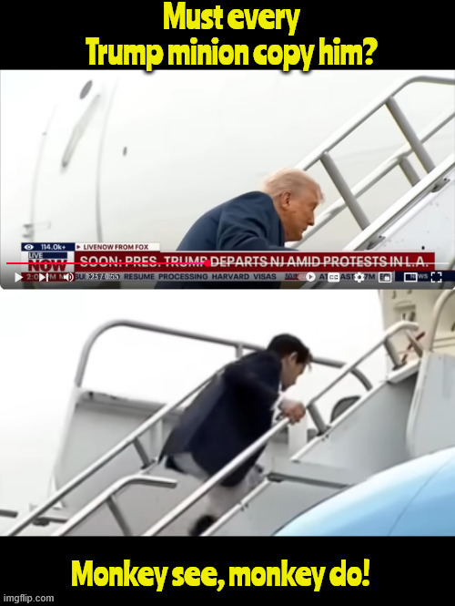 Minion see-Minion do | image tagged in monkey see monkey do,copy cat,it was a quake,maga minion,2 short trips,biden's fault | made w/ Imgflip meme maker