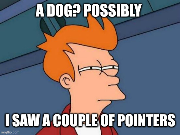 Futurama Fry Meme | A DOG? POSSIBLY I SAW A COUPLE OF POINTERS | image tagged in memes,futurama fry | made w/ Imgflip meme maker