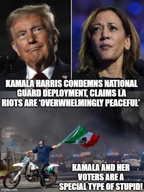 A special type of stupid! | KAMALA HARRIS CONDEMNS NATIONAL GUARD DEPLOYMENT, CLAIMS LA RIOTS ARE ‘OVERWHELMINGLY PEACEFUL’; KAMALA AND HER VOTERS ARE A SPECIAL TYPE OF STUPID! | image tagged in sam elliott special kind of stupid | made w/ Imgflip meme maker