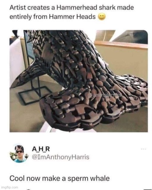 Hammer head Shark | image tagged in sperm,whale,hammer,shark | made w/ Imgflip meme maker