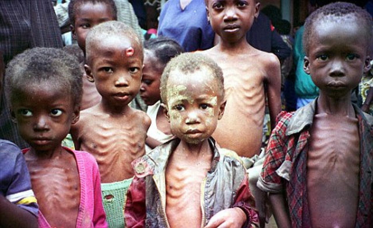 Hungriest Children Blank Meme Template