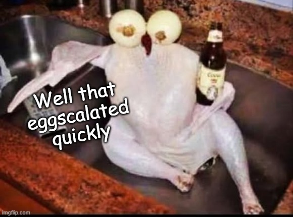 Eggselent | Well that eggscalated quickly | image tagged in chicken,will ferrell | made w/ Imgflip meme maker
