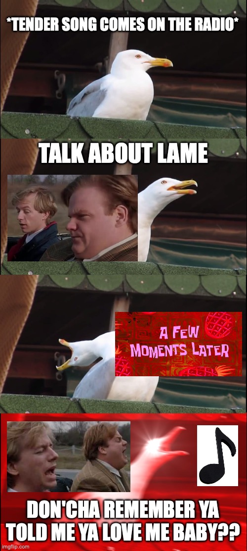 The music note is the cherry on top | *TENDER SONG COMES ON THE RADIO*; TALK ABOUT LAME; DON'CHA REMEMBER YA TOLD ME YA LOVE ME BABY?? | image tagged in memes,inhaling seagull,tommy boy,music,spongebob,chris farley | made w/ Imgflip meme maker