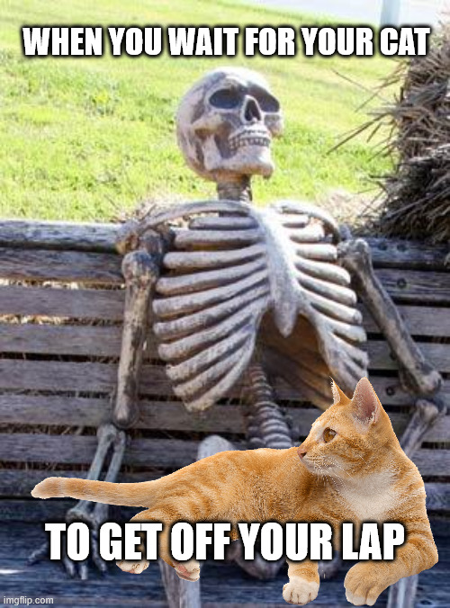 Not physically able to get up | WHEN YOU WAIT FOR YOUR CAT; TO GET OFF YOUR LAP | image tagged in memes,waiting skeleton,cats,help me | made w/ Imgflip meme maker