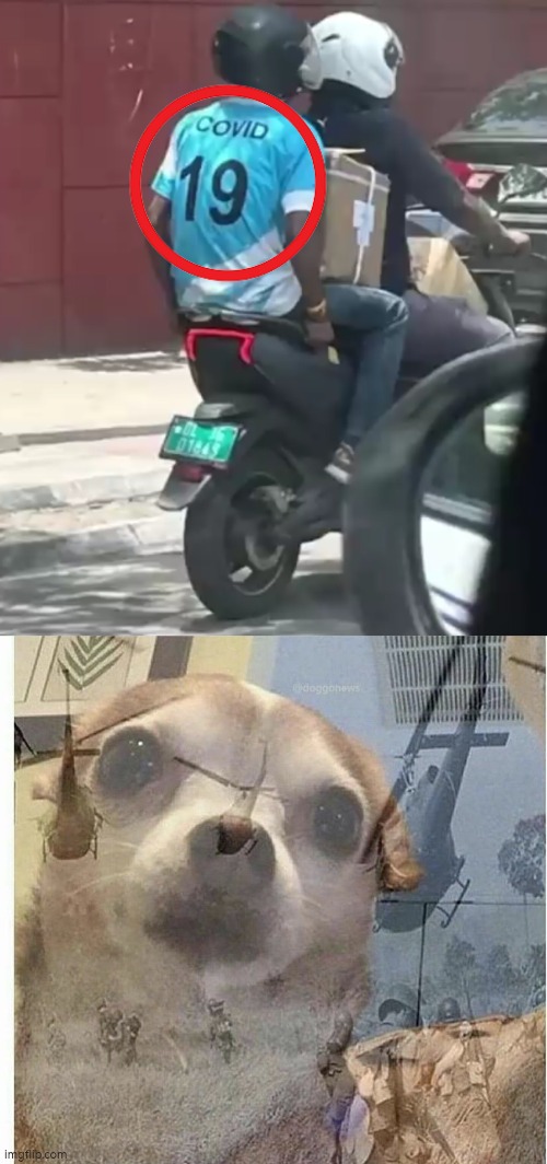 Oh hell absolutely no!! | image tagged in ptsd chihuahua,covid-19 | made w/ Imgflip meme maker