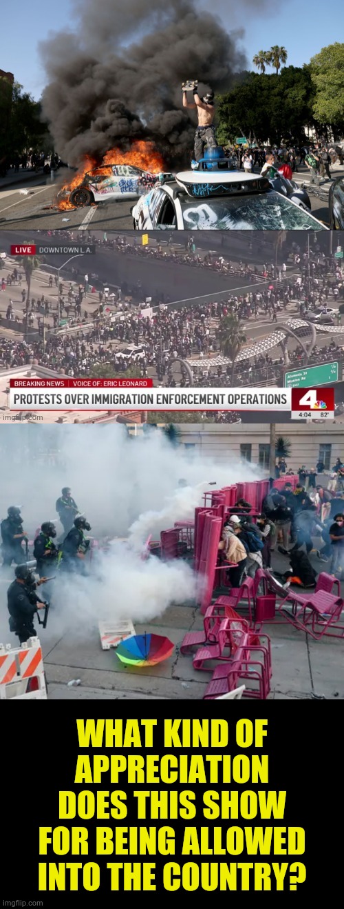 L.A. Riots | WHAT KIND OF APPRECIATION DOES THIS SHOW FOR BEING ALLOWED INTO THE COUNTRY? | image tagged in memes,los angeles,riots,shows,no,appreciation | made w/ Imgflip meme maker