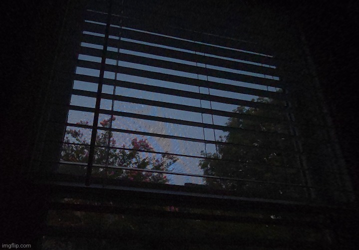 I love waking up early so i get to see this | made w/ Imgflip meme maker
