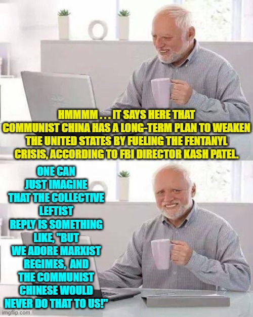 Neither is a surprise, is it? | ONE CAN JUST IMAGINE THAT THE COLLECTIVE LEFTIST REPLY IS SOMETHING LIKE, "BUT WE ADORE MARXIST REGIMES,  AND THE COMMUNIST CHINESE WOULD NEVER DO THAT TO US!"; HMMMM . . . IT SAYS HERE THAT COMMUNIST CHINA HAS A LONG-TERM PLAN TO WEAKEN THE UNITED STATES BY FUELING THE FENTANYL CRISIS, ACCORDING TO FBI DIRECTOR KASH PATEL. | image tagged in hide the pain harold | made w/ Imgflip meme maker