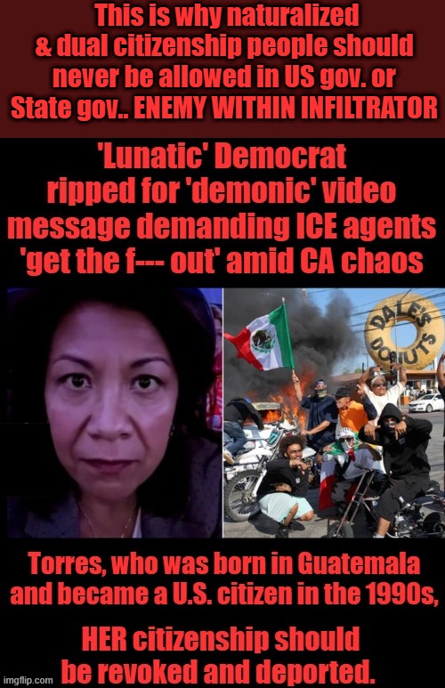 She is blantly cheering on illegal criminals and assisting them They are flying thier flags inside the US claiming US is thiers | This is why naturalized & dual citizenship people should never be allowed in US gov. or State gov.. ENEMY WITHIN INFILTRATOR | made w/ Imgflip meme maker