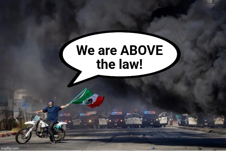 Riots to prevent enforcement of immigration laws | We are ABOVE
the law! | image tagged in memes,we are above the law,democrats,illegal immigrants,riots,california | made w/ Imgflip meme maker