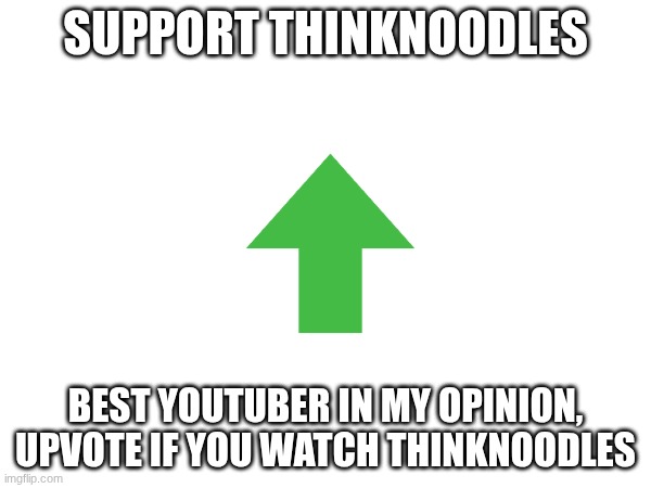 Best youtuber in my opinion | SUPPORT THINKNOODLES; BEST YOUTUBER IN MY OPINION, UPVOTE IF YOU WATCH THINKNOODLES | image tagged in youtuber,youtube,content | made w/ Imgflip meme maker