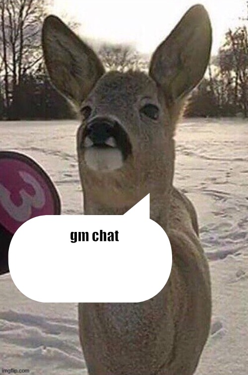 :3 | gm chat | image tagged in deer yap session | made w/ Imgflip meme maker