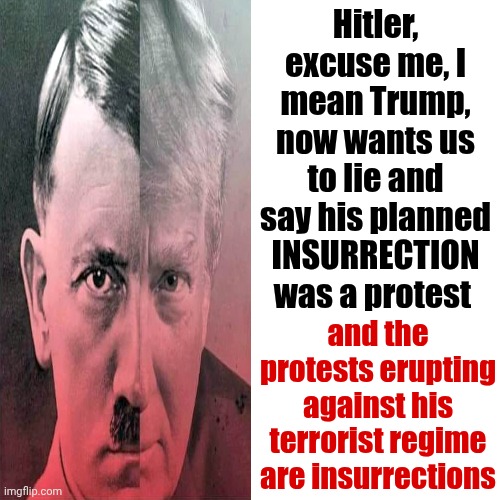 Maga Still Trying To Deny Trump's Terrorist Attacks Against Innocent AMERICANS Aren't Based On Trump's LIES | Hitler, excuse me, I mean Trump,
now wants us to lie and say his planned INSURRECTION was a protest; and the protests erupting against his terrorist regime are insurrections | image tagged in memes,drake hotline bling,trump is a terrorist,impeach trump,lock him up,maga | made w/ Imgflip meme maker