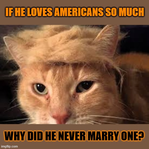 This #lolcat wonders what he meant with 'F*ck those no good Eastern Europeans!' | IF HE LOVES AMERICANS SO MUCH; WHY DID HE NEVER MARRY ONE? | image tagged in melania trump,ivanka trump,donald trump,marla maples,lolcat | made w/ Imgflip meme maker